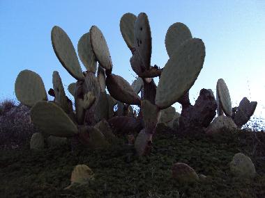 Maison de vacances �/en/au huercal de almeri�a (Almer�a)ou appartement ou maison de vacances