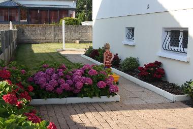 de beaux hortensias pour la bonne humeur
