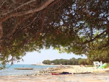 Appartement de vacances /en/au Petrcane/Zadar (Zadarska)ou appartement ou maison de vacances