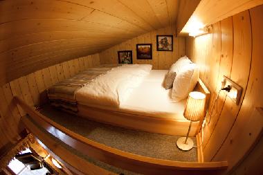 Appartement de vacances /en/au Zauchensee (Pinzgau-Pongau)ou appartement ou maison de vacances