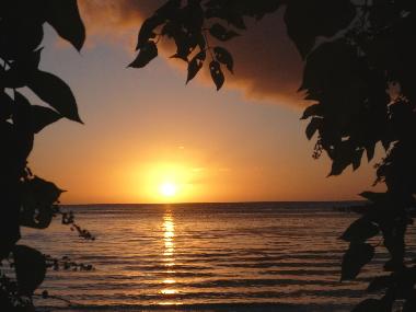 Maison de vacances �/en/au Pointe aux Canonniers (Grand Baie)ou appartement ou maison de vacances