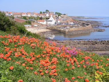 Maison de vacances �/en/au Blairgowrie (Eastern Scotland)ou appartement ou maison de vacances