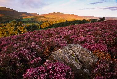 Maison de vacances �/en/au Blairgowrie (Eastern Scotland)ou appartement ou maison de vacances