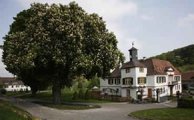 Appartement de vacances /en/au Bad Mergentheim (Taubertal)ou appartement ou maison de vacances
