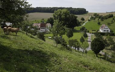 Appartement de vacances /en/au Bad Mergentheim (Taubertal)ou appartement ou maison de vacances