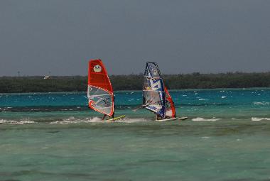 Appartement de vacances �/en/au Kralendijk (Bonaire)ou appartement ou maison de vacances