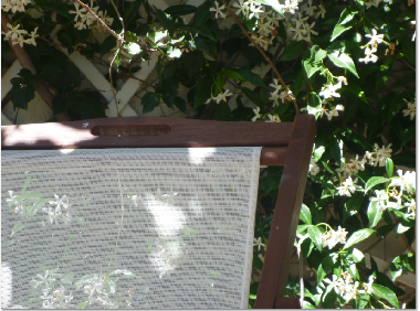 Maison de vacances /en/au Calvi (Haute-Corse)ou appartement ou maison de vacances