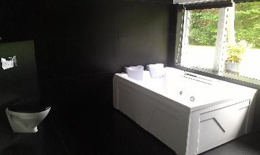 Maison de vacances �/en/au Holl�selund (Vestsjalland)ou appartement ou maison de vacances