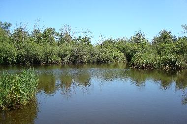 Maison de vacances �/en/au fr�rup (Fyn)ou appartement ou maison de vacances