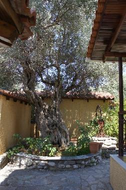 Maison de vacances /en/au Fokida (Fokida)ou appartement ou maison de vacances