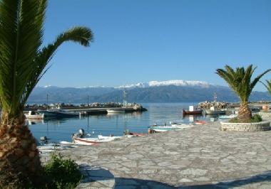 Maison de vacances /en/au Fokida (Fokida)ou appartement ou maison de vacances