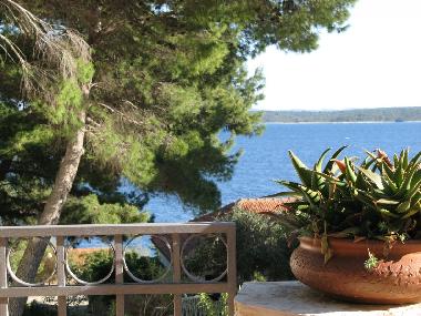 Maison de vacances /en/au Zavala (Splitsko-Dalmatinska)ou appartement ou maison de vacances