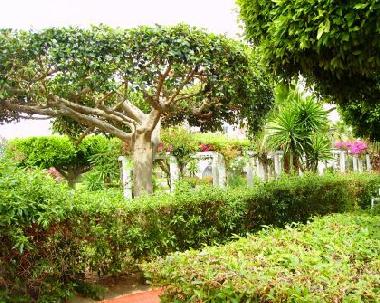 Appartement de vacances �/en/au Torrox Costa (M�laga)ou appartement ou maison de vacances