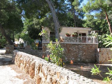 Maison de vacances /en/au Zavala (Splitsko-Dalmatinska)ou appartement ou maison de vacances