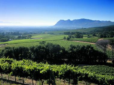 Appartement de vacances �/en/au Constantia (Western Cape)ou appartement ou maison de vacances