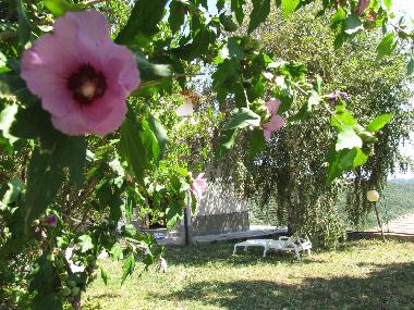 Villa /en/au Gavenola - Borghetto D