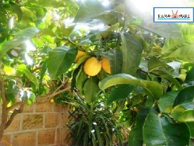 Maison de vacances /en/au Lido di Ostia - Roma (Roma)ou appartement ou maison de vacances
