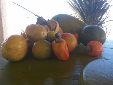 Mangue, banane, maracuja, cajou, noix de coco....