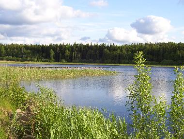Maison de vacances �/en/au Hultsfred / Vimmerby (Smaland)ou appartement ou maison de vacances