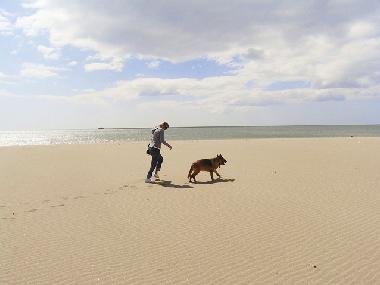 Maison de vacances �/en/au St. Pierre la Mer (Aude)ou appartement ou maison de vacances