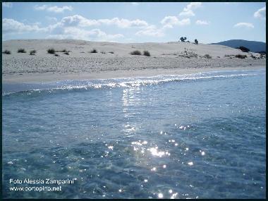 Maison de vacances �/en/au MASAINAS (Carbonia-Iglesias)ou appartement ou maison de vacances