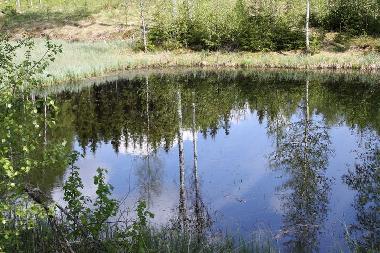 Maison de vacances �/en/au Gr�smark (V�rmland)ou appartement ou maison de vacances