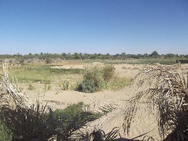 Villa �/en/au Siwa (Al Wadi al Jadid)ou appartement ou maison de vacances