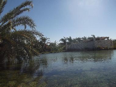 Villa �/en/au Siwa (Al Wadi al Jadid)ou appartement ou maison de vacances