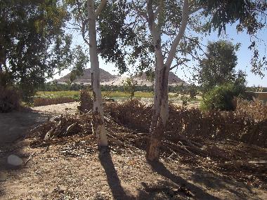 Villa �/en/au Siwa (Al Wadi al Jadid)ou appartement ou maison de vacances