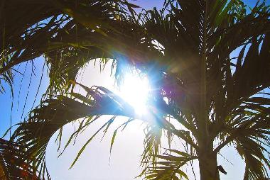 Appartement de vacances �/en/au Willemstad (Curacao)ou appartement ou maison de vacances