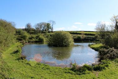 Maison de vacances �/en/au Tavistock (South West)ou appartement ou maison de vacances