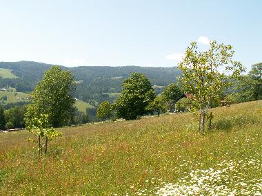 Maison de vacances �/en/au Schwanberg (West- und S�dsteiermark)ou appartement ou maison de vacances