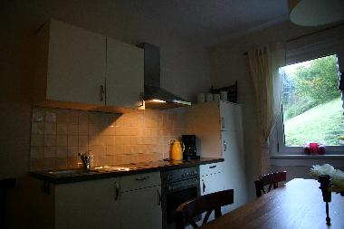 Maison de vacances /en/au Gieubel (Thringer Wald)ou appartement ou maison de vacances