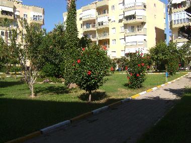 Appartement de vacances /en/au Alanya (Antalya)ou appartement ou maison de vacances