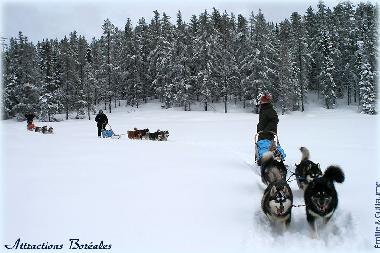 Chalet �/en/au Girardville (Quebec)ou appartement ou maison de vacances