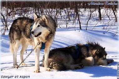 Chalet �/en/au Girardville (Quebec)ou appartement ou maison de vacances