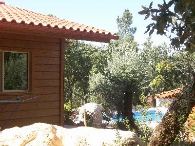 Maison de vacances �/en/au Ansiao (Beira Interior Sul)ou appartement ou maison de vacances