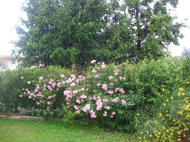 Maison de vacances /en/au VILLASIMIUS (Cagliari)ou appartement ou maison de vacances