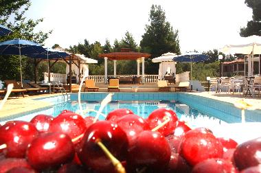 Appartement de vacances /en/au Nikiti/Metamorfossi (Chalkidiki)ou appartement ou maison de vacances