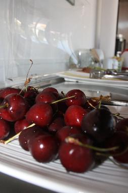 Appartement de vacances /en/au Nikiti/Metamorfossi (Chalkidiki)ou appartement ou maison de vacances