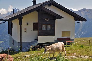 Maison de vacances �/en/au Fiesch (Aletsch)ou appartement ou maison de vacances