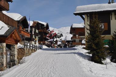 Appartement de vacances �/en/au Bettmeralp (Bettmeralp)ou appartement ou maison de vacances