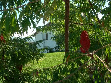 Maison de vacances /en/au Montevarchi (Arezzo)ou appartement ou maison de vacances