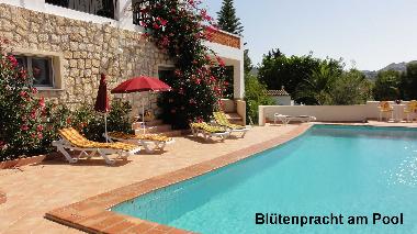 Maison de vacances �/en/au Moraira (Alicante / Alacant)ou appartement ou maison de vacances