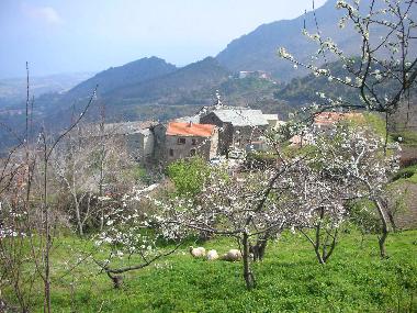 Appartement de vacances /en/au San Giovanni di Moriani (Haute-Corse)ou appartement ou maison de vacances