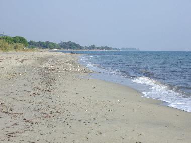 Appartement de vacances /en/au San Giovanni di Moriani (Haute-Corse)ou appartement ou maison de vacances