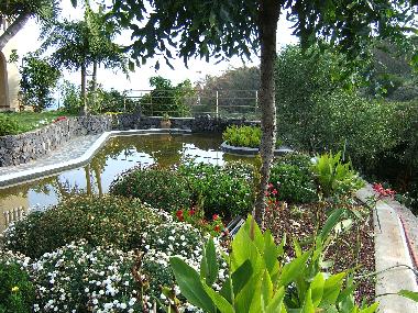 Appartement de vacances �/en/au Puerto de la Cruz (Teneriffa)ou appartement ou maison de vacances