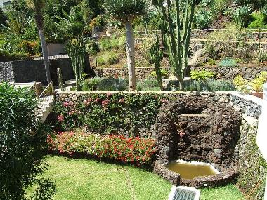 Appartement de vacances �/en/au Puerto de la Cruz (Teneriffa)ou appartement ou maison de vacances