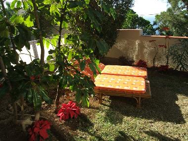 Appartement de vacances �/en/au Puerto de la Cruz (Teneriffa)ou appartement ou maison de vacances