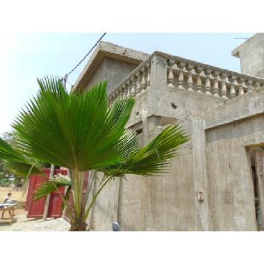 Maison de vacances �/en/au lom� (Lome)ou appartement ou maison de vacances